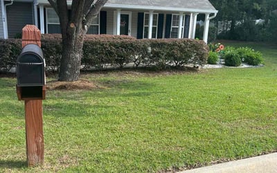Photo of Nathan N.'s yard after getting lawn care in Chesterton, IN