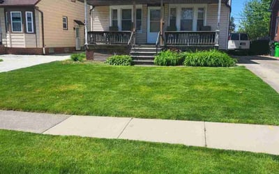 Photo of Ulla C.'s yard after getting lawn care in Garfield Heights, OH