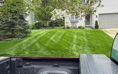 Photo of Yvonne L.'s yard after getting lawn care in Cincinnati, OH