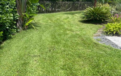 Photo of Phillip W.'s yard after getting lawn care in Wellington, FL