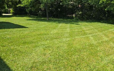 Photo of Steven R.'s yard after getting lawn care in Pleasant Hill, MO
