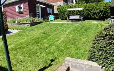 Photo of Dondi S.'s yard after getting lawn care in League City, TX