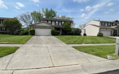 Photo of Carleen T.'s yard after getting lawn care in Hamilton, OH