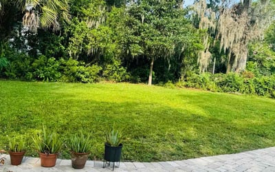 Photo of Arka C.'s yard after getting lawn care in Lebanon, OH