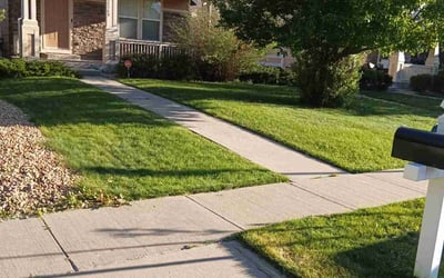 Photo of Jonathan T.'s yard after getting lawn care in Lancaster, CA