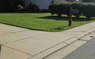 Photo of Liam S.'s yard after getting lawn care in Sandy, UT