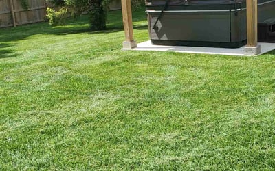 Photo of Dillon W.'s yard after getting lawn care in Richmond, VA