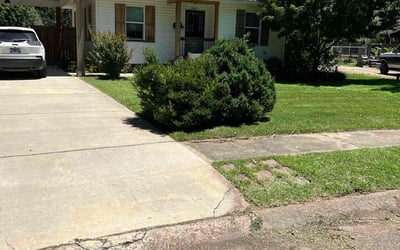 Photo of Traci N.'s yard after getting lawn care in Stoneham, MA