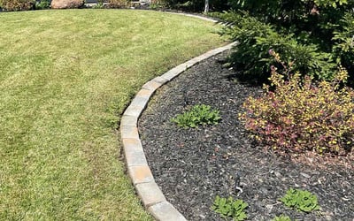 Photo of Patrice A.'s yard after getting lawn care in Placerville, CA