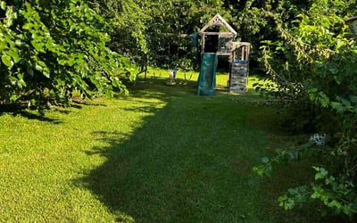 Photo of Cora S.'s yard after getting lawn care in Portsmouth, VA