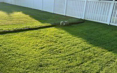Photo of Samantha Q.'s yard after getting lawn care in Richland, WA