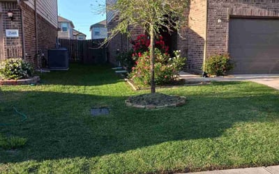 Photo of Gordon S.'s yard after getting lawn care in Bolingbrook, IL