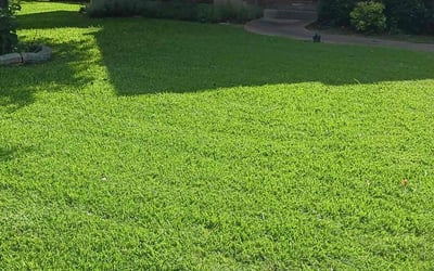 Photo of Terrance K.'s yard after getting lawn care in Austin, TX