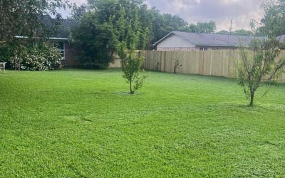 Photo of Linda D.'s yard after getting lawn care in Theodore, AL