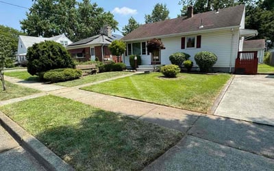 Photo of Mary J.'s yard after getting lawn care in Marlboro, NJ