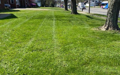 Photo of Sherrie L.'s yard after getting lawn care in Burton, OH