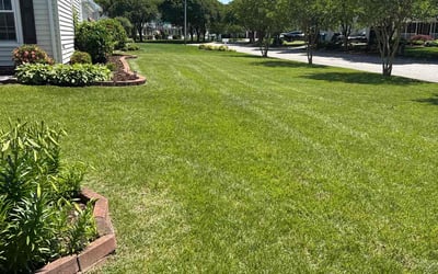 Photo of Chad M.'s yard after getting lawn care in Hammond, LA