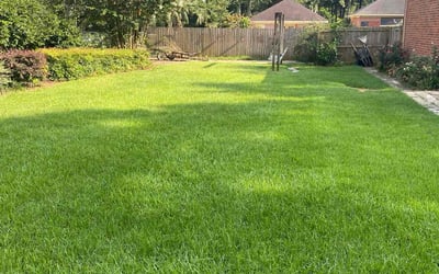 Photo of Jessica M.'s yard after getting lawn care in Mobile, AL