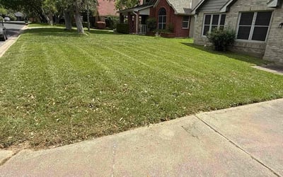 Photo of Caryn C.'s yard after getting lawn care in Austin, TX