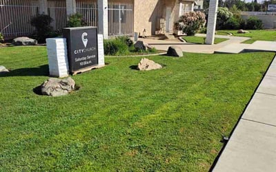Photo of Angie G.'s yard after getting lawn care in Bakersfield, CA