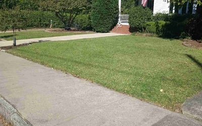 Photo of Stacey O.'s yard after getting lawn care in Macon, GA