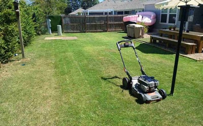 Photo of Mershayde P.'s yard after getting lawn care in Garfield Heights, OH