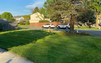Photo of John A.'s yard after getting lawn care in Bear, DE