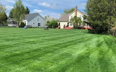 Photo of Penny F.'s yard after getting lawn care in Powell, OH