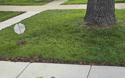 Photo of Lovey H.'s yard after getting lawn care in Middletown, OH