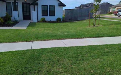 Photo of Subbu K.'s yard after getting lawn care in Wilmington, MA