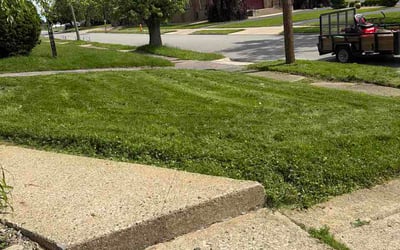 Photo of Jeremy Y.'s yard after getting lawn care in Franklin, IN