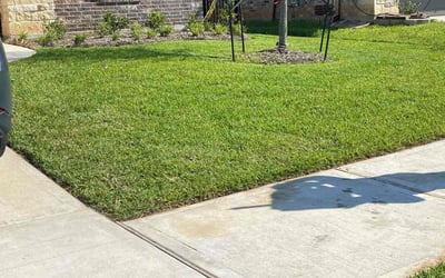 Photo of Michael P.'s yard after getting lawn care in Shallotte, NC