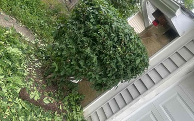 Photo of Julie G.'s yard after getting lawn care in Foxboro, MA