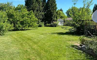 Photo of Meredith S.'s yard after getting lawn care in Takoma Park, MD