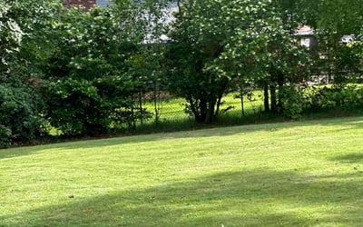 Photo of Cynthia H.'s yard after getting lawn care in Macon, GA