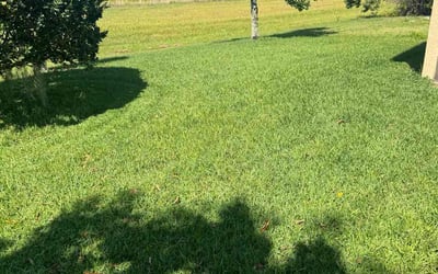 Photo of James B.'s yard after getting lawn care in Odessa, FL