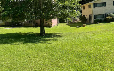 Photo of Daniel O.'s yard after getting lawn care in Kansas City, MO