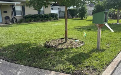 Photo of Ross M.'s yard after getting lawn care in Orlando, FL