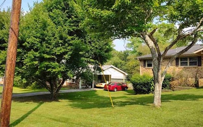 Photo of Bailey F.'s yard after getting lawn care in Fayetteville, AR