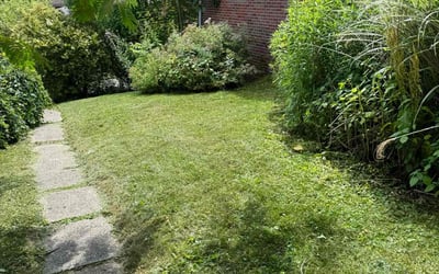 Photo of Mary W.'s yard after getting lawn care in Butler, PA