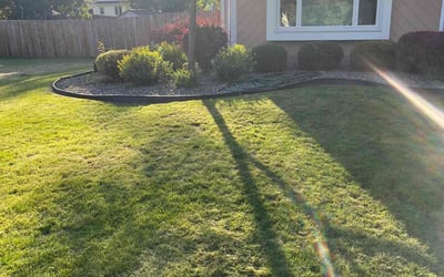 Photo of Elaine t.'s yard after getting lawn care in Rochester, NY