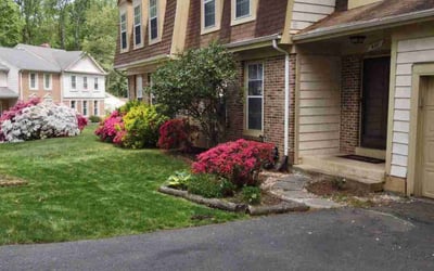 Photo of Stephanie L.'s yard after getting lawn care in Burke, VA