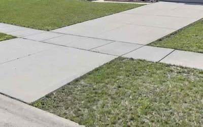 Photo of Alphonso H.'s yard after getting lawn care in Ypsilanti, MI