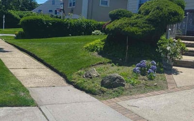 Photo of Jane P.'s yard after getting lawn care in Binghamton, NY