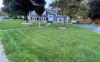 Photo of Alex M.'s yard after getting lawn care in Randolph, MA
