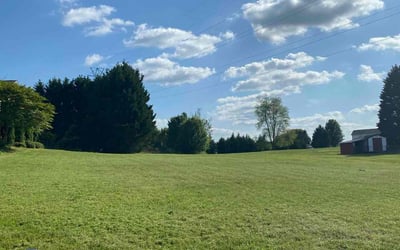Photo of Jonathan C.'s yard after getting lawn care in Henderson, NC