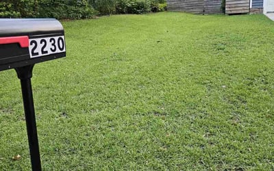 Photo of Sylvia M.'s yard after getting lawn care in Crawfordville, FL