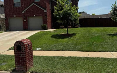 Photo of Corin G.'s yard after getting lawn care in Fletcher, NC