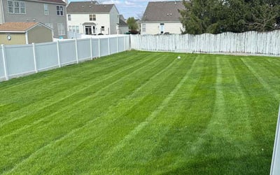 Photo of John S.'s yard after getting lawn care in Charleston, WV