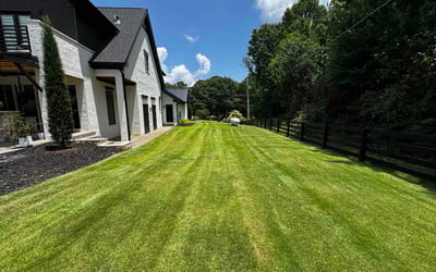 Photo of Elizabeth B.'s yard after getting lawn care in Pensacola, FL